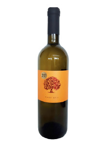 Tilia, Pinot Grigio, Vipava Valley, Slovenië (per 6 flessen)